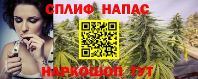спиды Аргун
