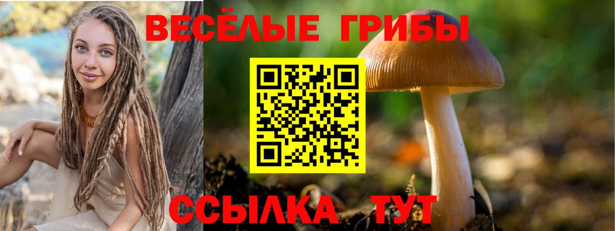 Галлюциногенные грибы Psilocybine cubensis  Вход с VPN  Видное 